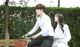 甜宠娱乐圈吃瓜小说,娱乐圈的甜蜜瓜田