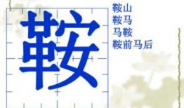 娱乐吃瓜四字成语大全集,趣味横生的成语世界