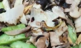 娱乐吃瓜菌的作品,揭秘娱乐圈那些不为人知的幕后故事