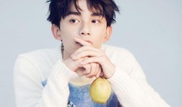 娱乐圈吃瓜吴磊是谁呀,揭秘吴磊的星光之路