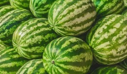 娱乐吃瓜素材在哪找到,吃瓜素材大搜集，带你一探究竟