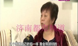 娱乐君吃瓜老绵羊视频在线观看,揭秘老绵羊视频背后的精彩故事