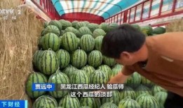 718吃瓜娱乐入口,带你领略热门话题新风向