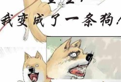吃瓜娱乐原创小说