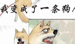 吃瓜娱乐原创小说