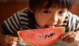 娱乐吃瓜君吐槽二豆