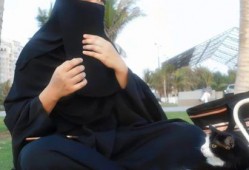 娱乐吃瓜君5,揭秘娱乐圈最新热点，带你领略明星幕后故事