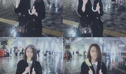 娱乐吃瓜文,明星们的幕后故事与八卦风云