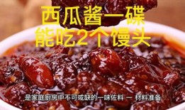 娱乐吃瓜酱的第一个作品,揭秘娱乐圈幕后风云