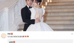 小说娱乐圈娱圈吃瓜