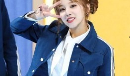 爱豆吃瓜娱乐酱宋雨琦,爱豆吃瓜娱乐酱，揭秘娱乐圈幕后故事