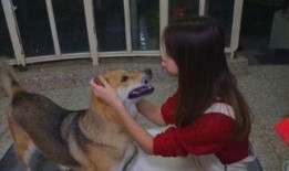 娱乐吃瓜酱狗子