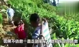 娱乐吃瓜酱竹子视频,揭秘娱乐圈幕后故事