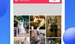 吃瓜娱乐图片p图软件