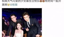 娱乐圈吃瓜汇总杨幂,娱乐圈风云变幻中的璀璨明星