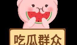 吃瓜群众娱乐版下载,下载背后的精彩故事