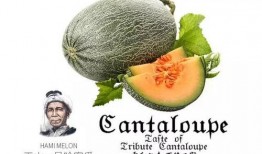 娱乐吃瓜喷子是谁的作品