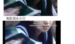 吃瓜娱乐圈推文在线阅读,跟随推文揭秘明星幕后故事