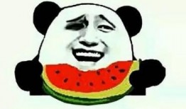 娱乐吃瓜酱懂事,洞察娱乐圈，解码明星心事