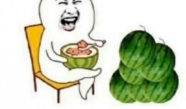 在哪里吃娱乐圈的瓜,揭秘各大热门餐厅的幕后故事