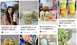 娱乐吃瓜模板介绍自己