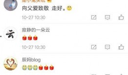 蛮蛮娱乐吃瓜,揭秘娱乐圈最新吃瓜事件，带你领略明星幕后故事