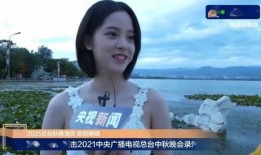 娱乐吃瓜酱流量