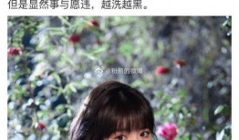 小贾娱乐圈里吃瓜是什么,揭秘明星们的“吃瓜”生活
