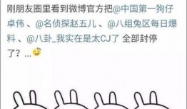 娱乐吃瓜酱语录大全,揭秘娱乐圈幕后真相与趣味瞬间