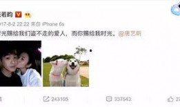 娱乐吃瓜张翰是谁啊视频,娱乐吃瓜界的风云人物